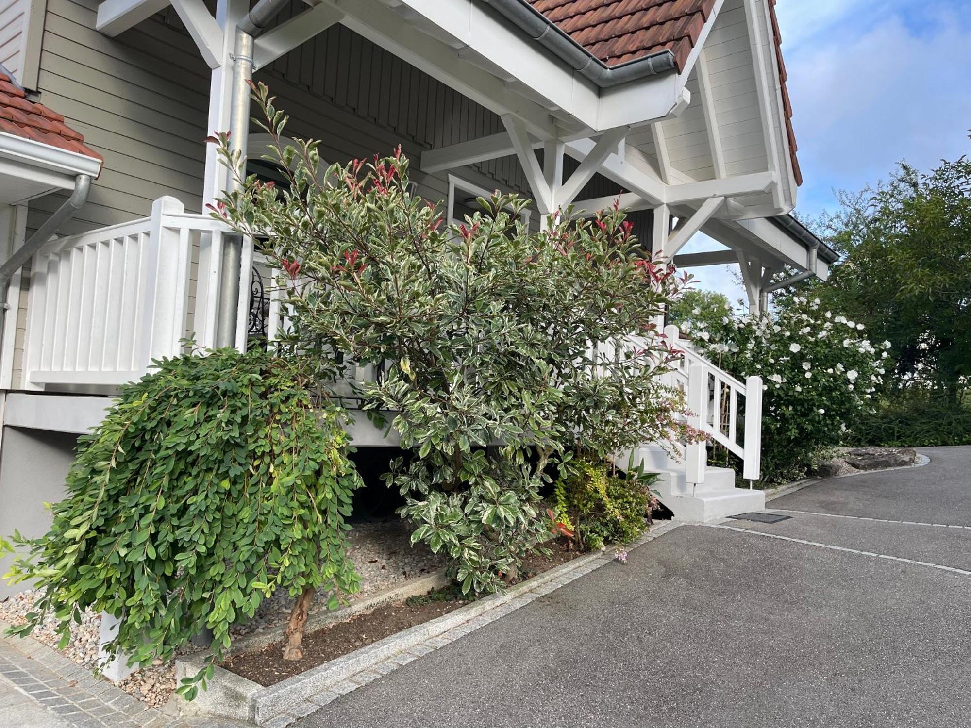 Tulipes Et Cetera Otel Waldighoffen Dış mekan fotoğraf